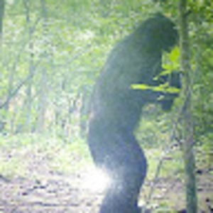 Meet your Posher, Charles